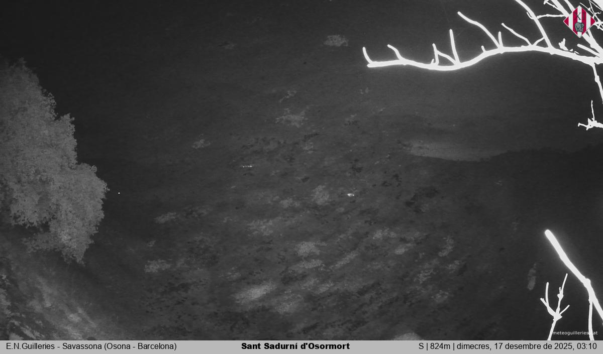 Sant Sadurní d'Osormort 