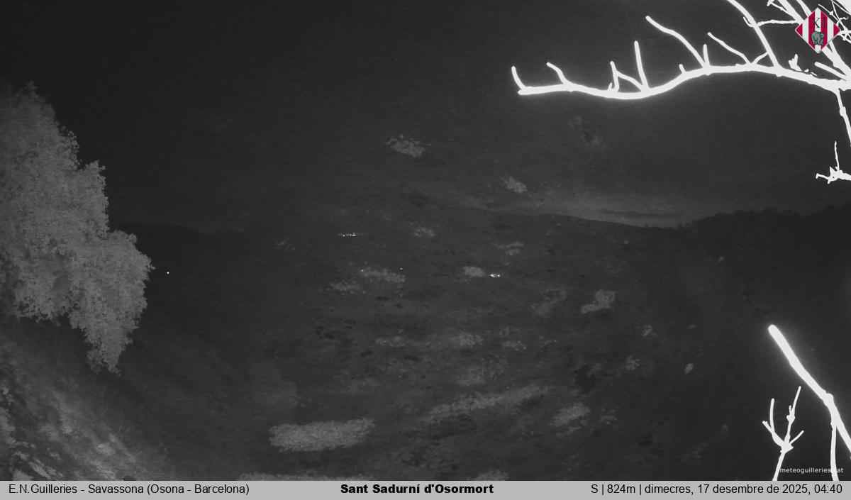 Sant Sadurní d'Osormort 