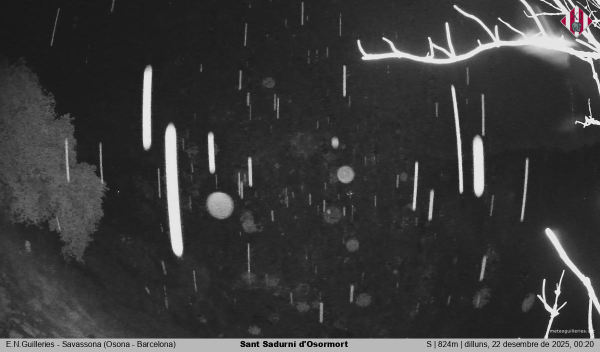 Sant Sadurní d'Osormort 