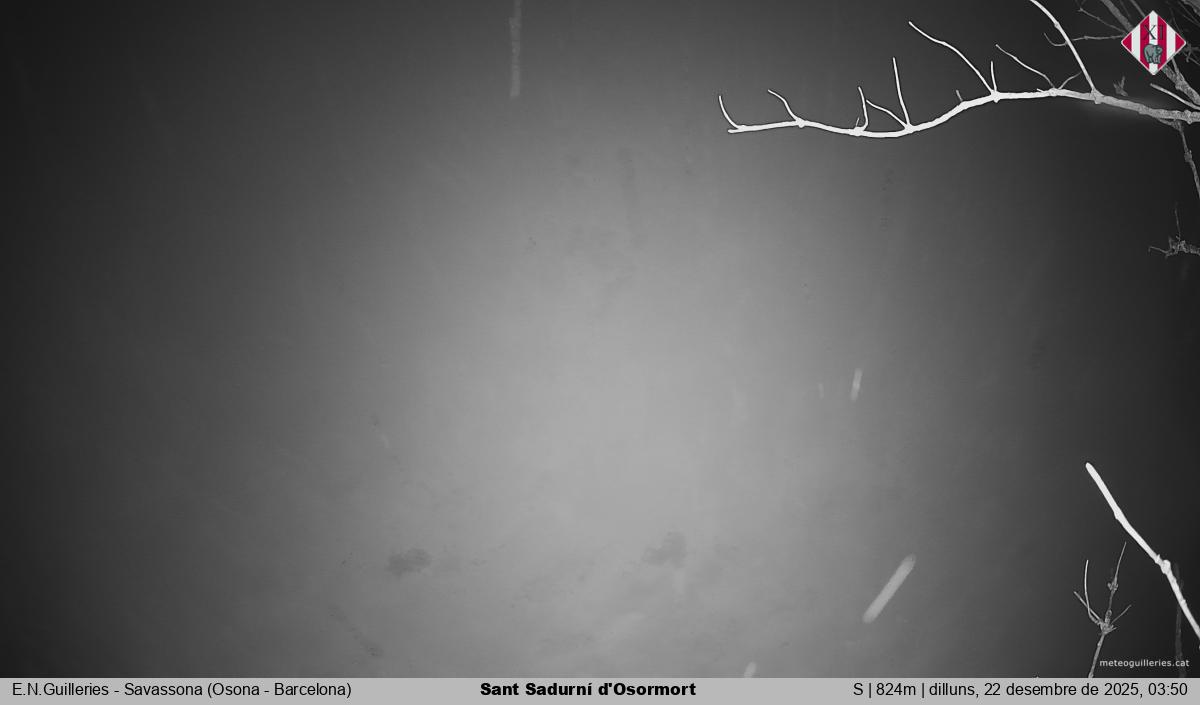 Sant Sadurní d'Osormort 