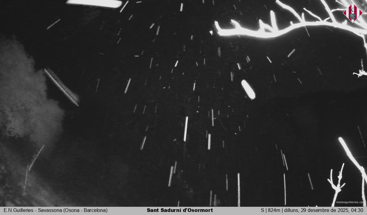 Sant Sadurní d'Osormort 