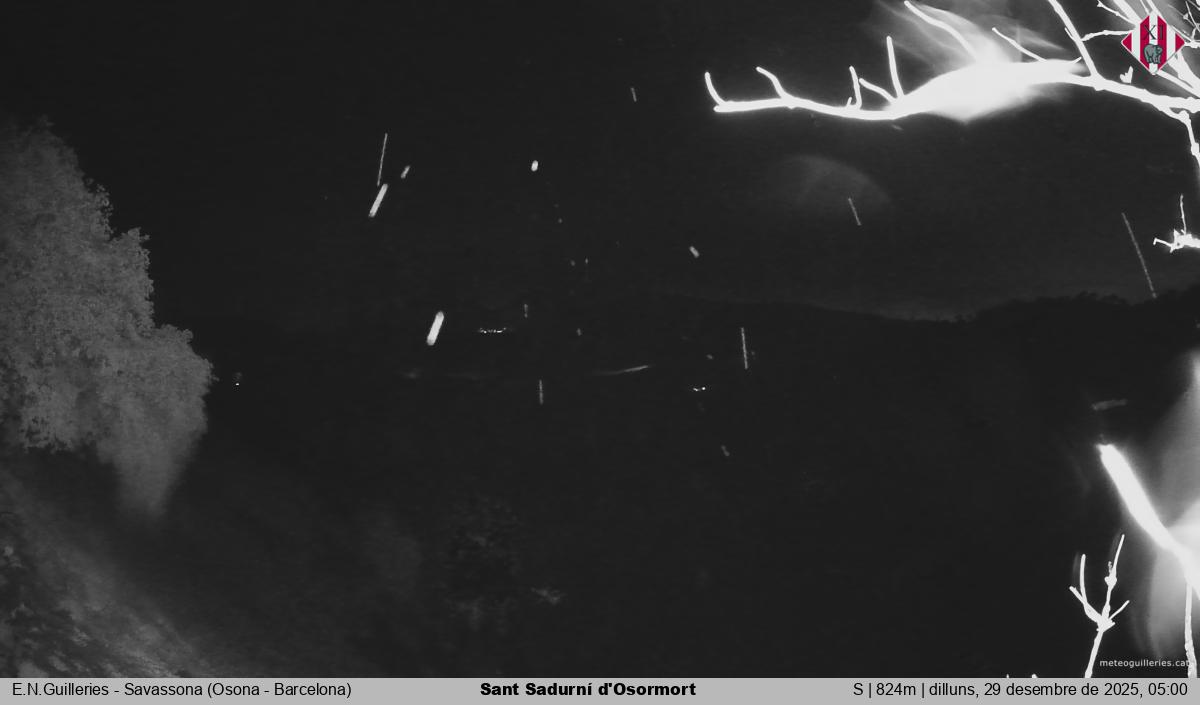 Sant Sadurní d'Osormort 