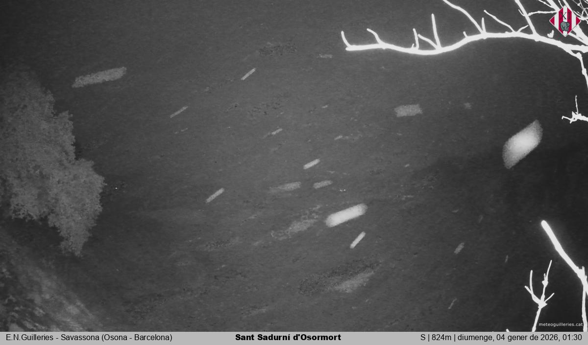 Sant Sadurní d'Osormort 