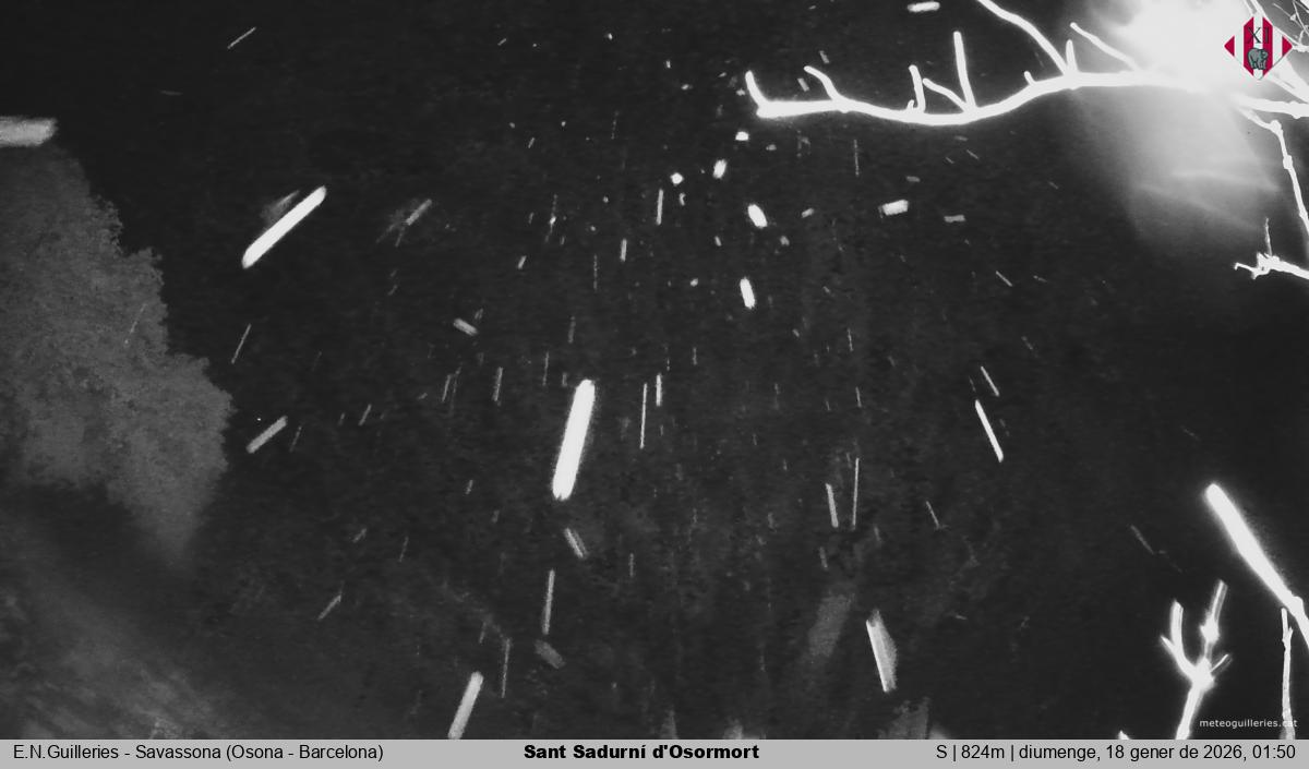 Sant Sadurní d'Osormort 