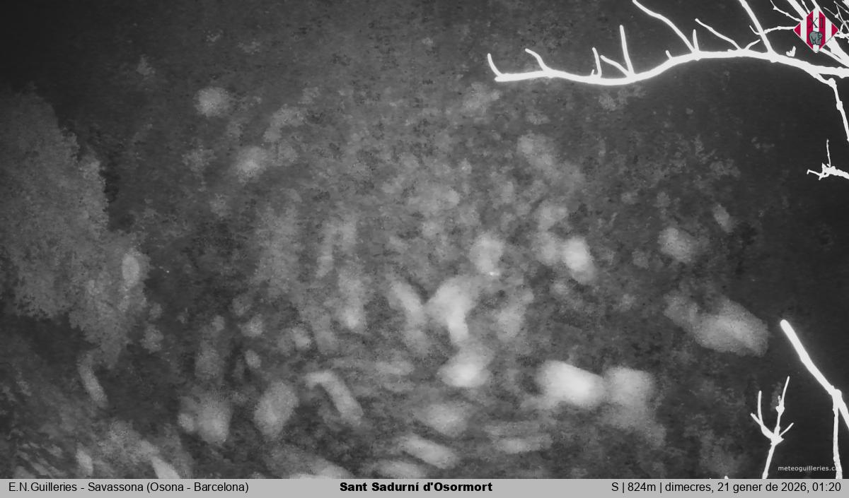 Sant Sadurní d'Osormort 