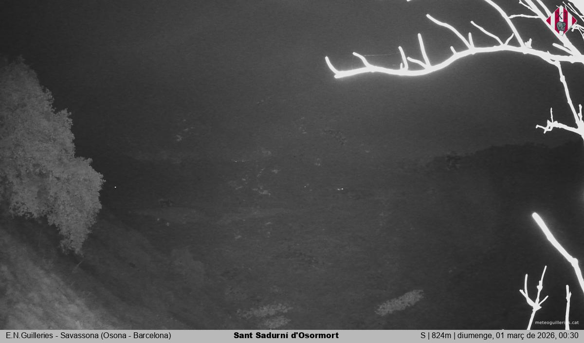 Sant Sadurní d'Osormort 