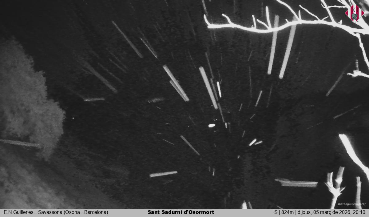 Sant Sadurní d'Osormort 