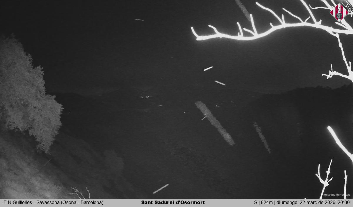 Sant Sadurní d'Osormort 