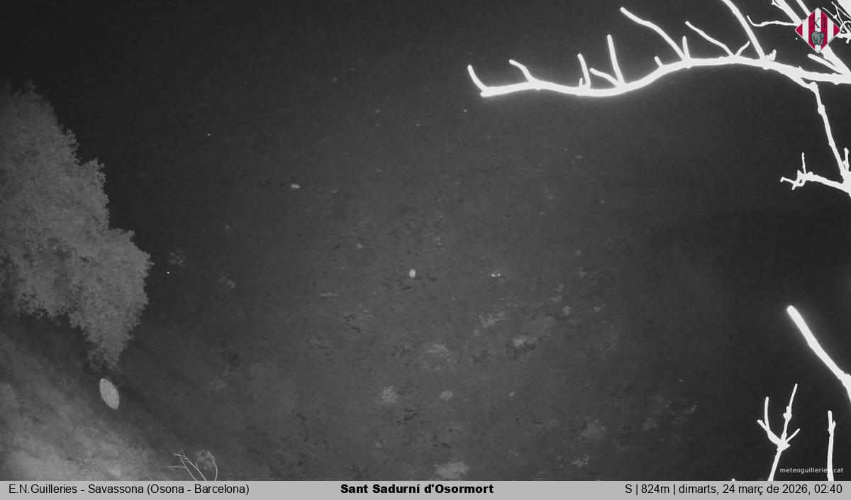 Sant Sadurní d'Osormort 