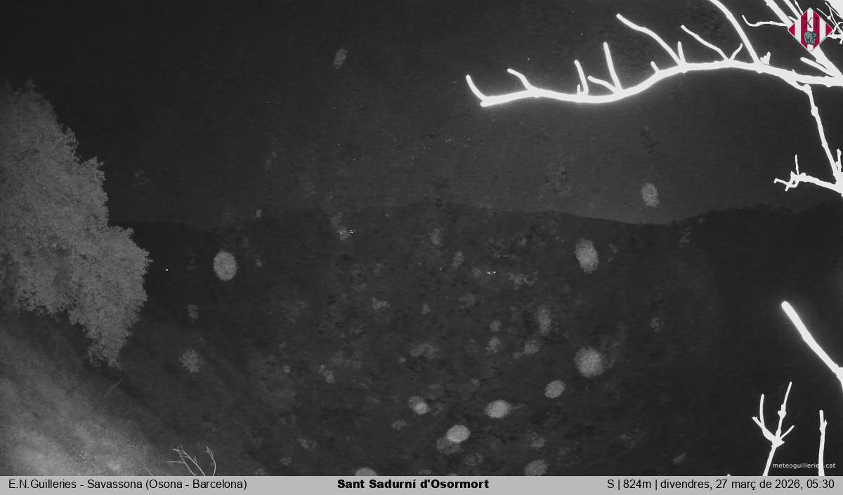 Sant Sadurní d'Osormort 