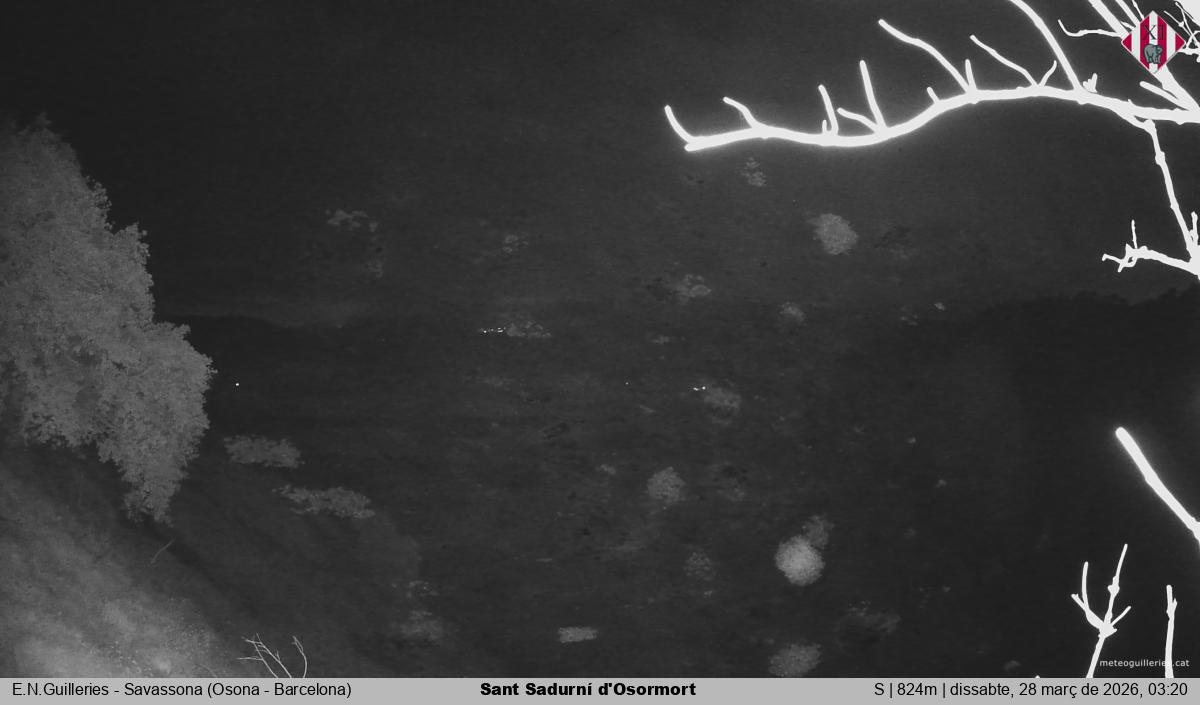 Sant Sadurní d'Osormort 