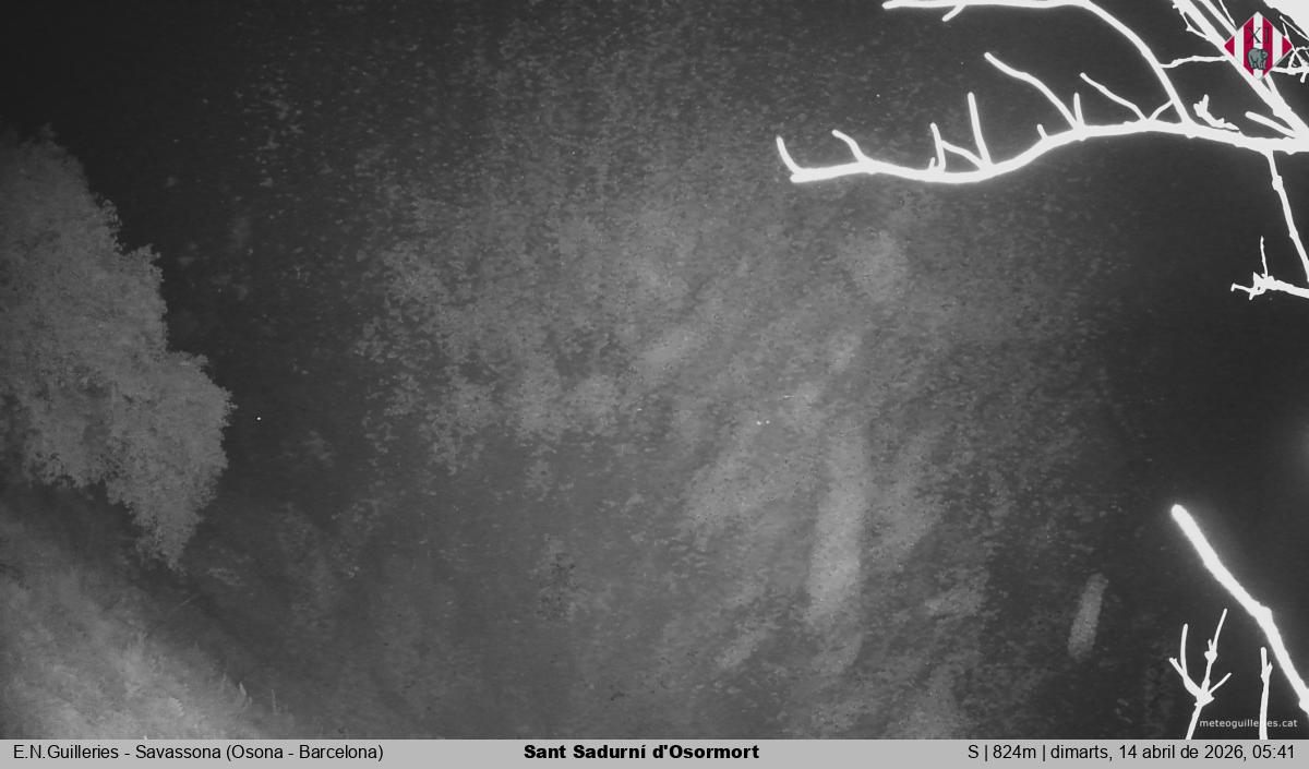 Sant Sadurní d'Osormort 