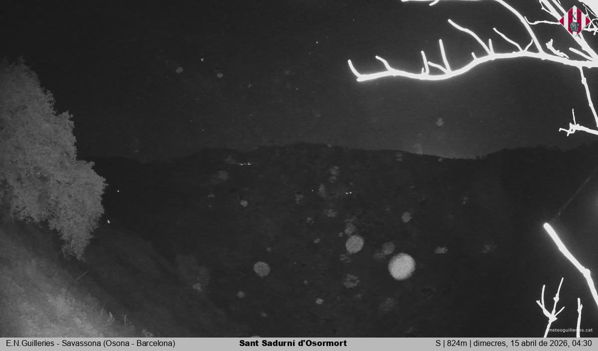 Sant Sadurní d'Osormort 