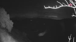 Webcams