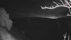 Webcams