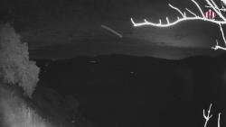 Webcams