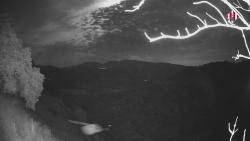 Webcams