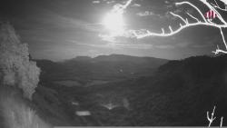 Webcams