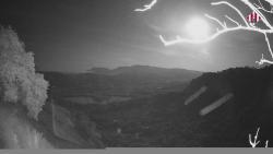 Webcams