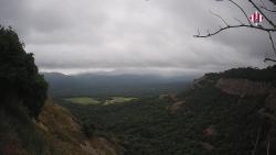 Webcams