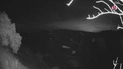 Webcams