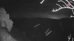 Webcams