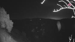 Webcams