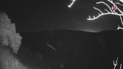 Webcams