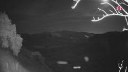 Webcams