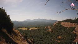 Webcams