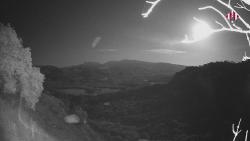 Webcams