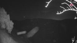 Webcams