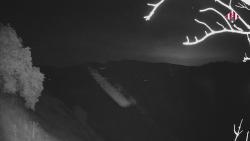 Webcams