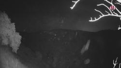 Webcams
