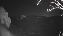 Webcams