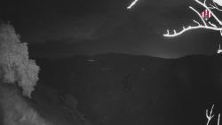 Webcams