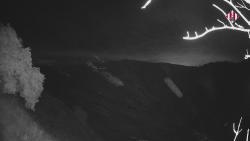 Webcams