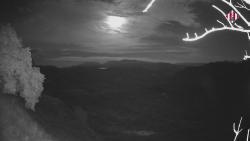 Webcams