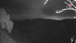 Webcams