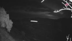 Webcams