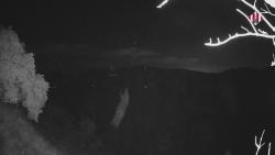 Webcams
