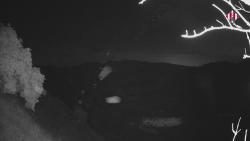 Webcams