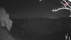 Webcams