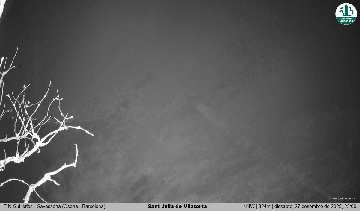 Sant Julià de Vilatorta