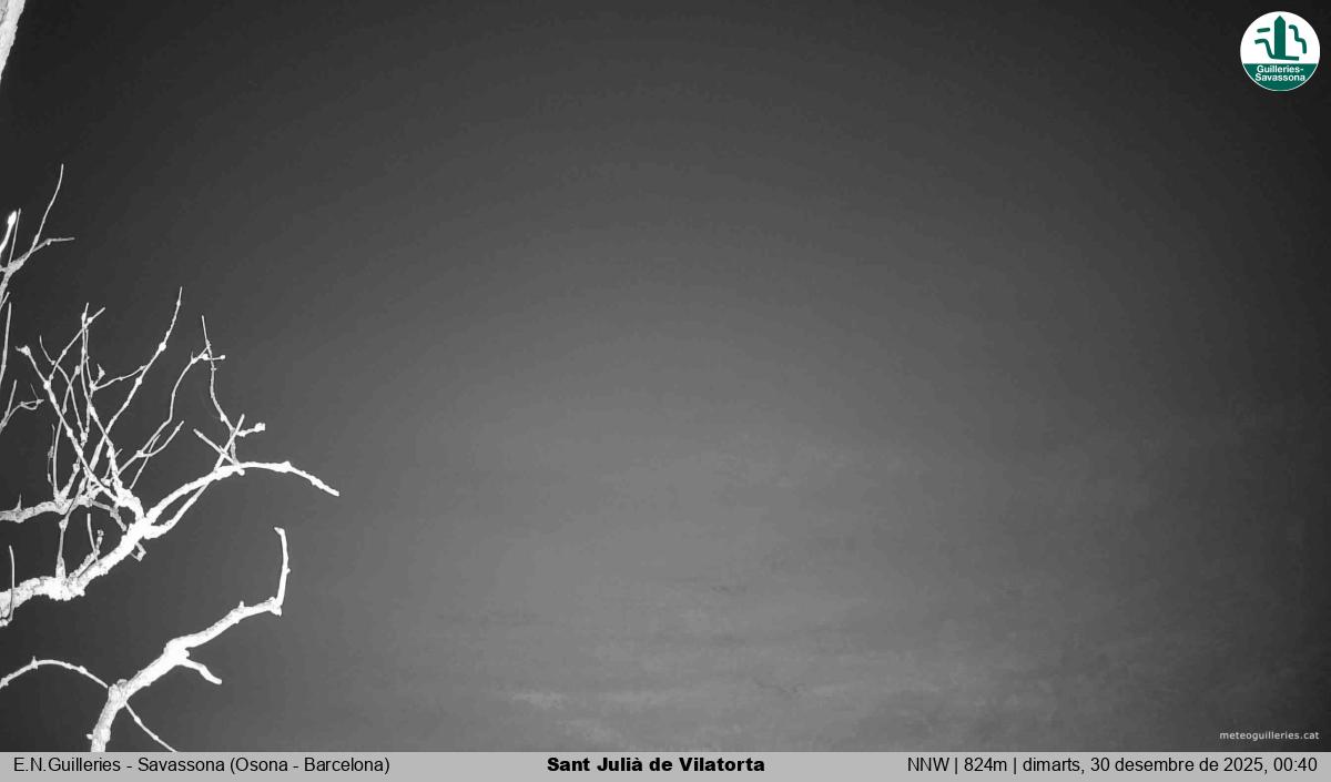 Sant Julià de Vilatorta