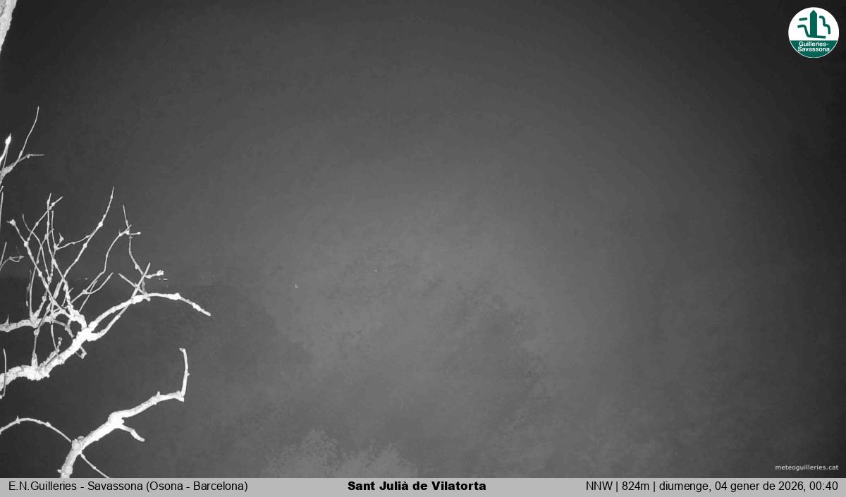 Sant Julià de Vilatorta