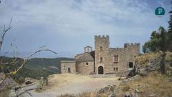 Webcams