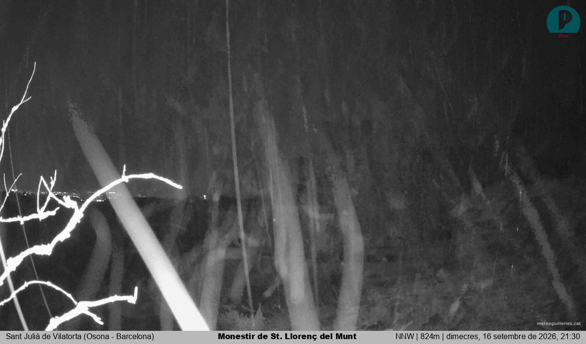 Monestir de St. Llorenç del Munt