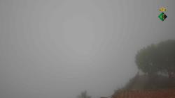Webcams