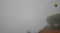 Webcams